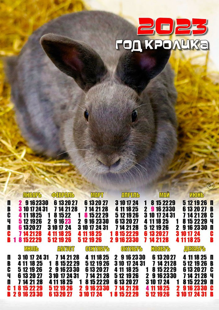 Какой он был 2023 год. Какой он был 2023 год. Календарь на 2023 год с кроликом. Обыкновенный ушан символ москвы. Год кролика календарик.