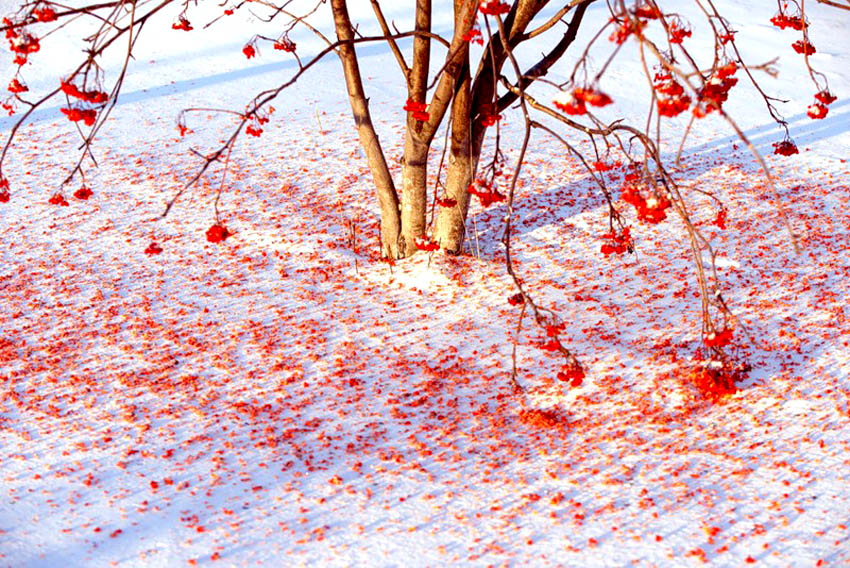 неотчуждаемая месса...