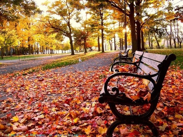 Ода о жизни