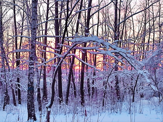 Праздник для сердца