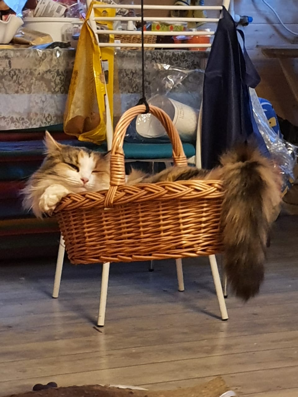 Зимний поцелуй