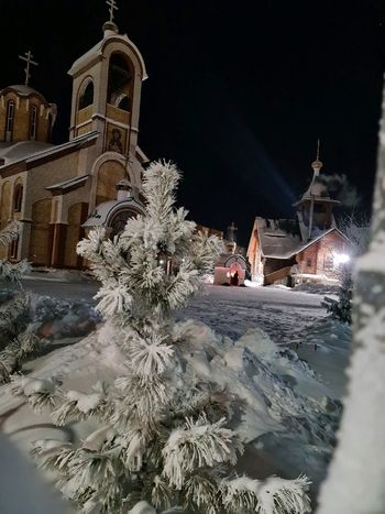 Рождественская ночь