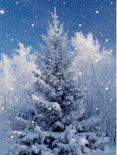 В канун Рождества