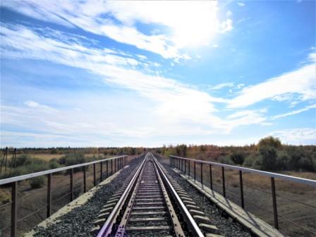 Линии судьбы