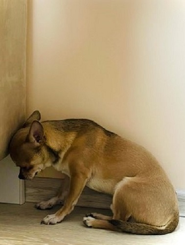 Про декаданс