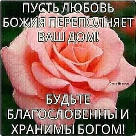 9 января. Мысли и чувства