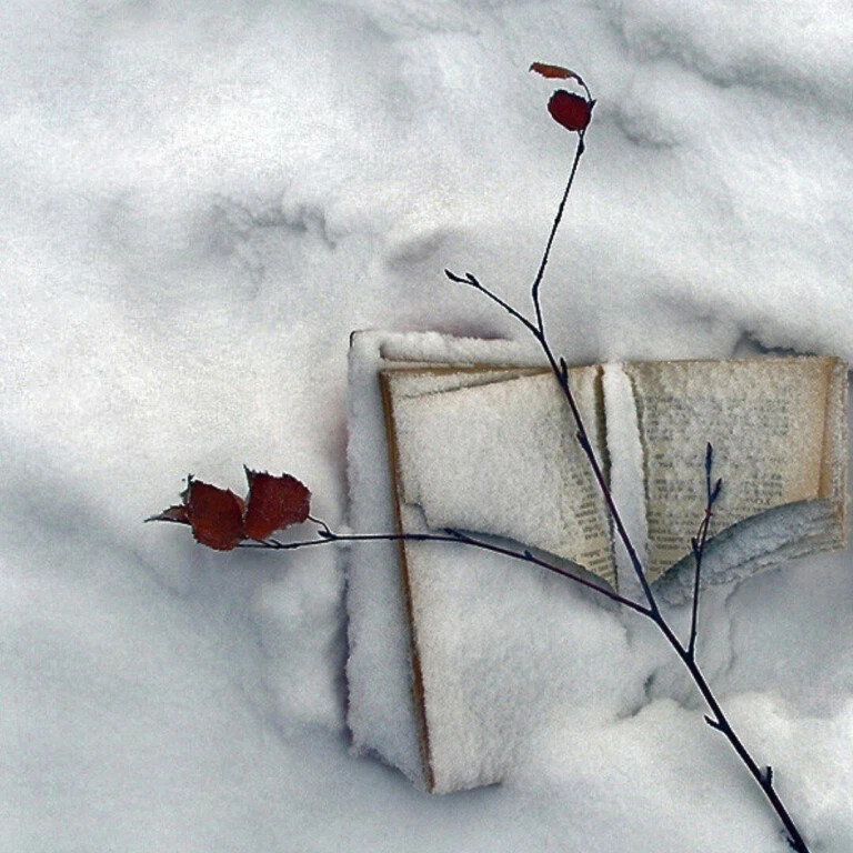 Новая страница