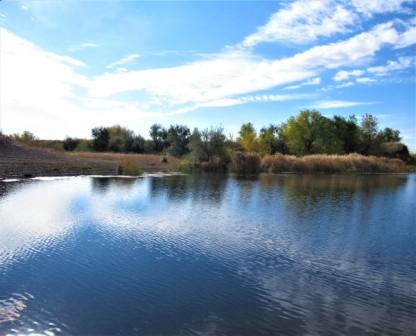 Дивная пора