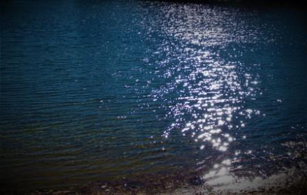 Летняя ночь