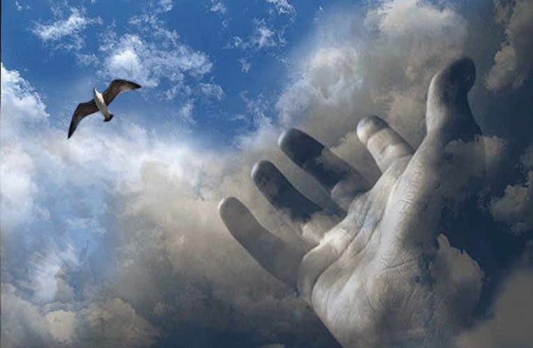 Словно птица потерявшая. Ладони Бога. Руки к небу. Свобода птица в небе. Птицы в облаках.