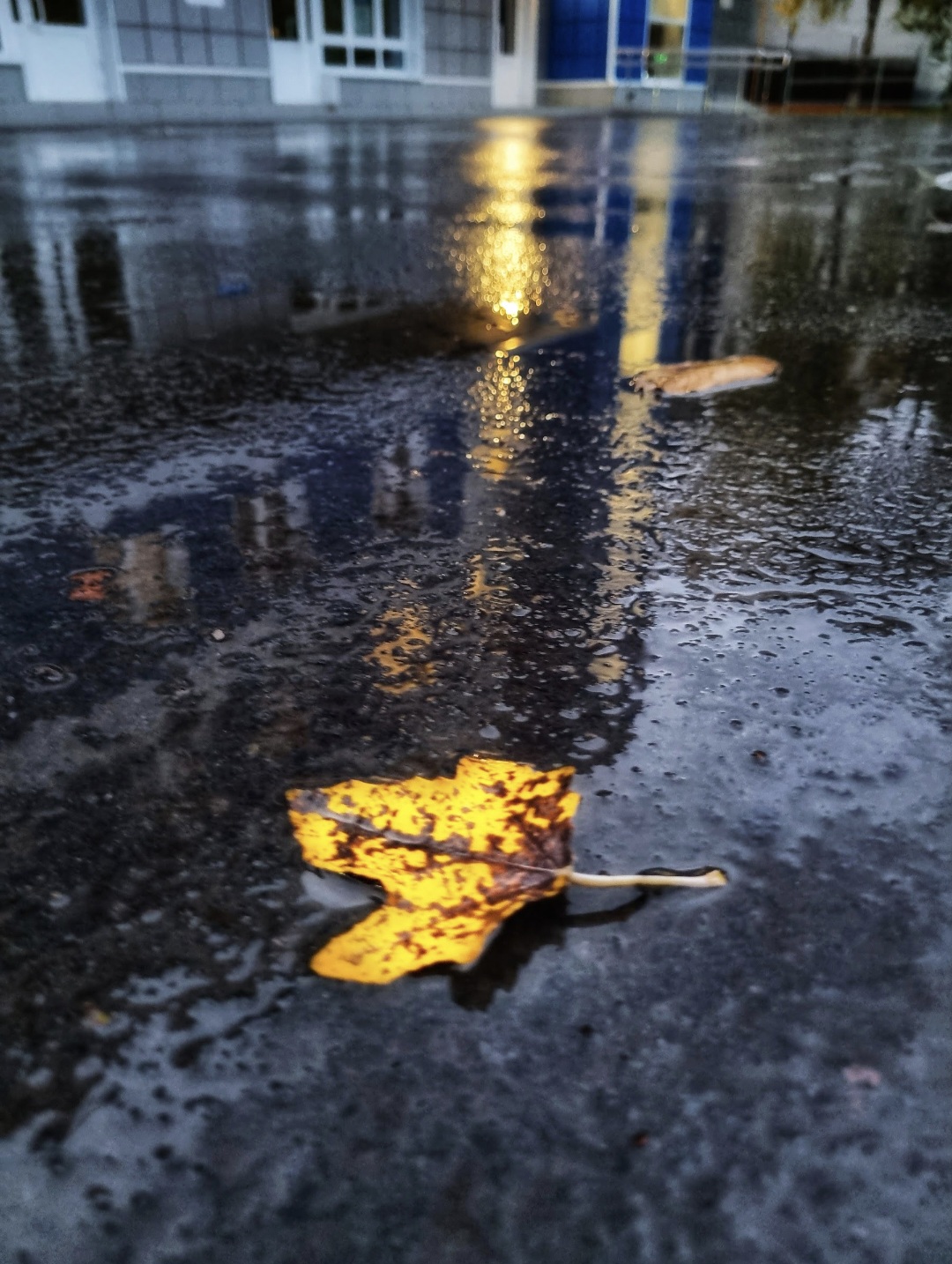 Уже последний лист покинул дом