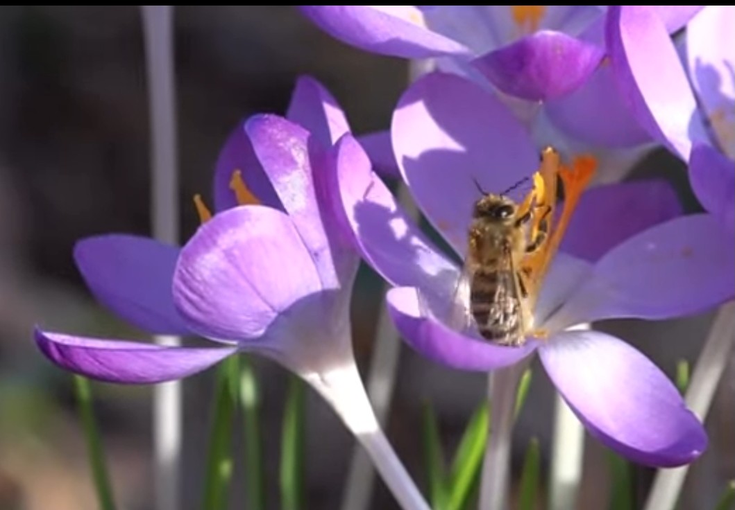 Мысли в Пути - посвяти себя жизни...