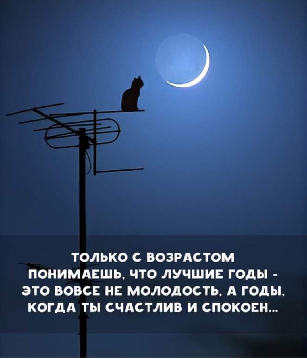 Нас трудно любить