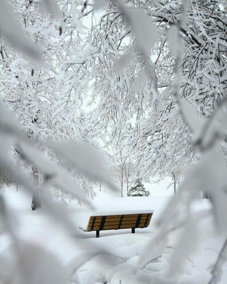 Зима тоже зажигает