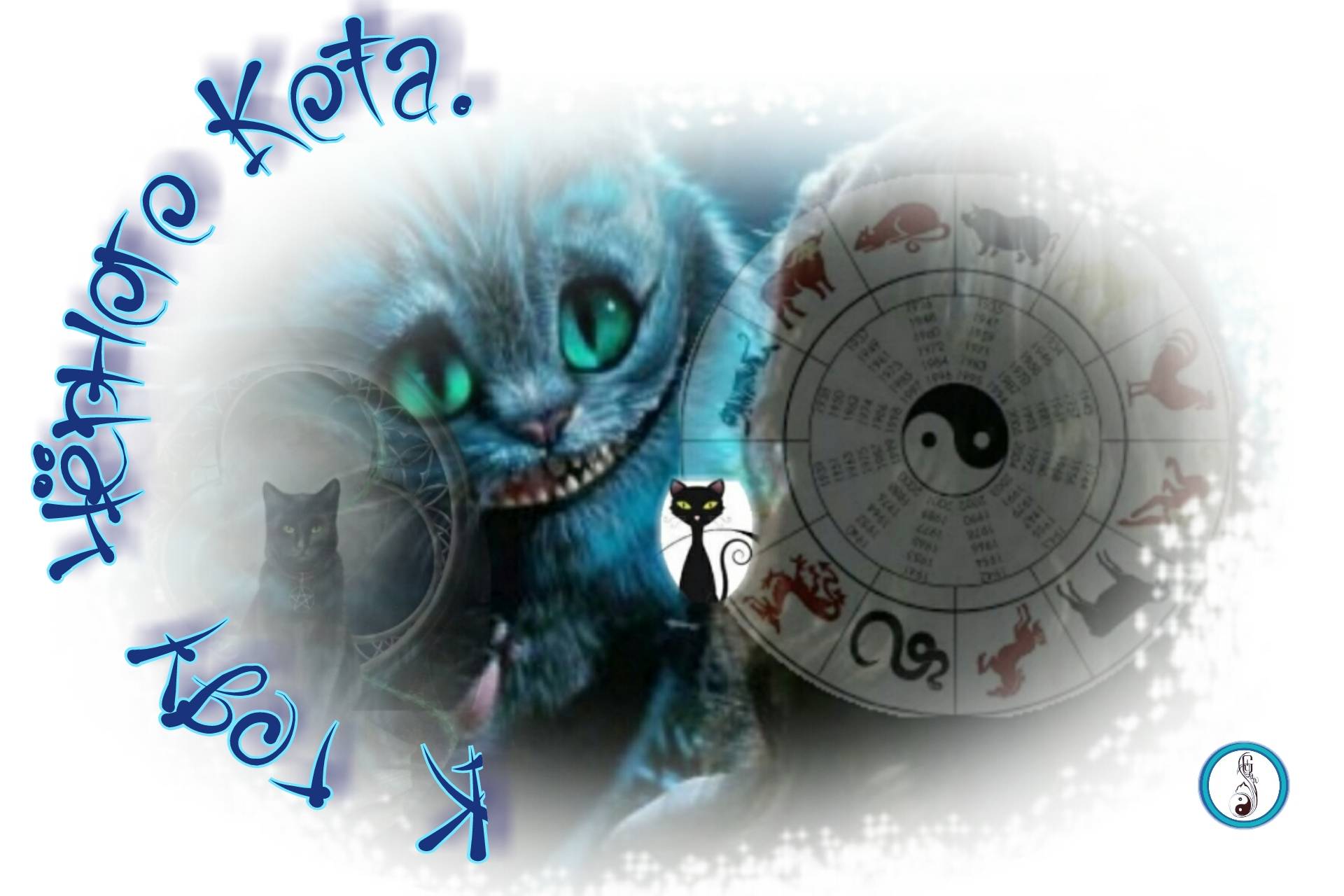 К году Чёрного Кота