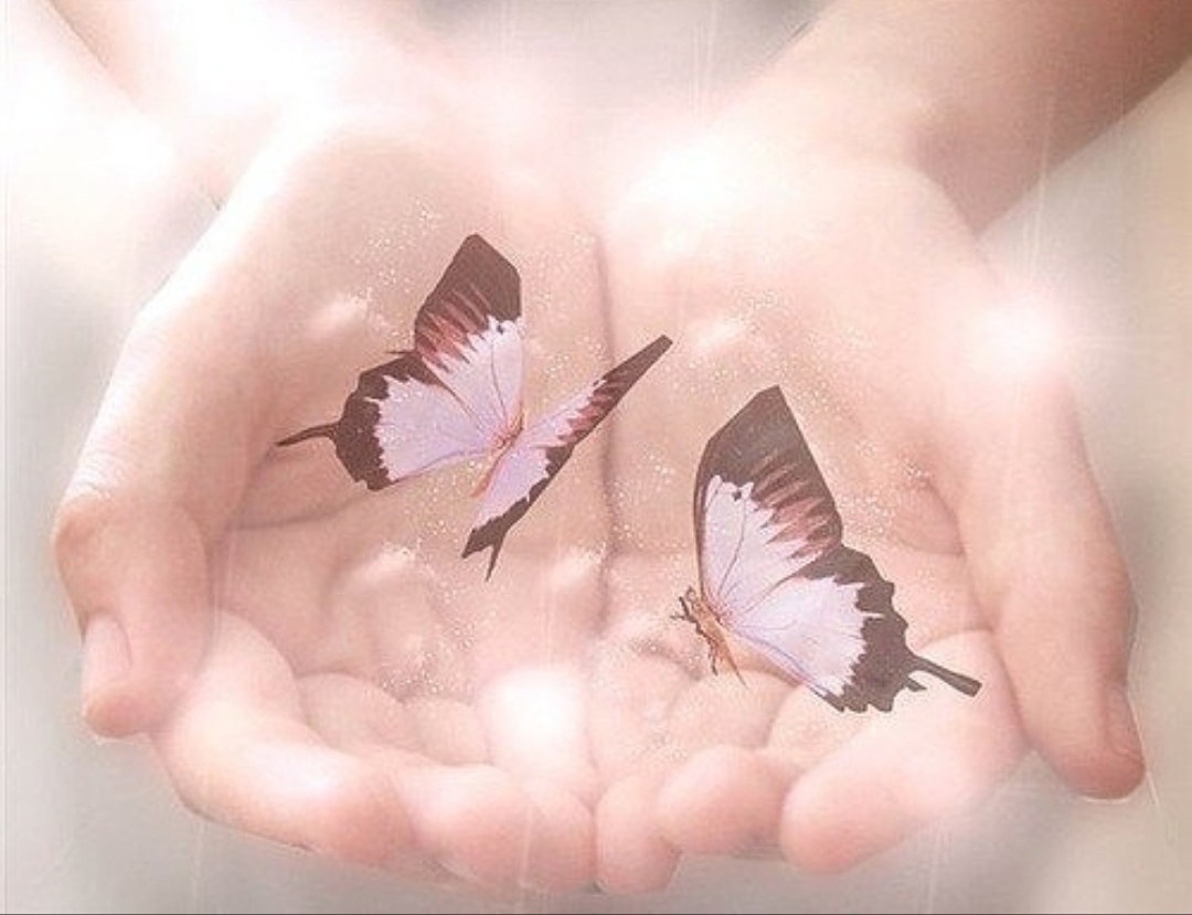 Тихо бабочки летают. Бабочка на ладони. Бабочки в душе. На руку бабочка. Счастье в ладонях.