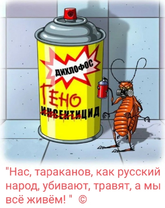 О тараканах - 2