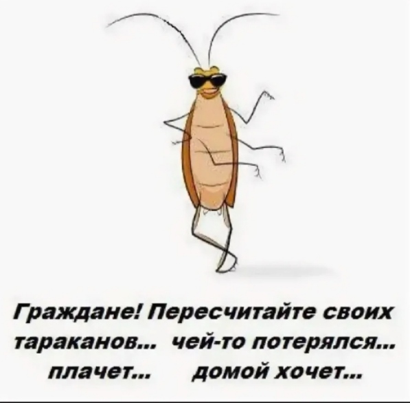 О тараканах - 3