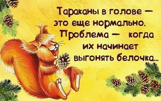 Жаркие дискуссии