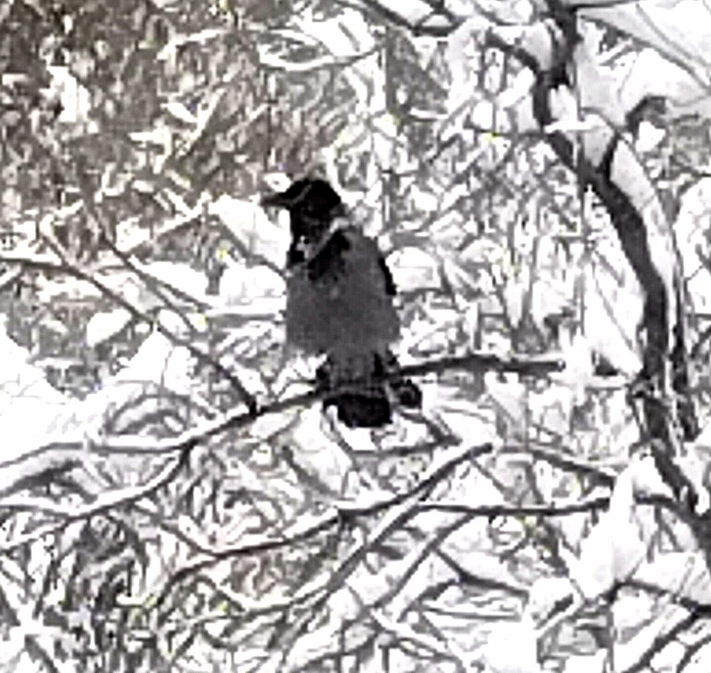 Камнем падает вниз молитва