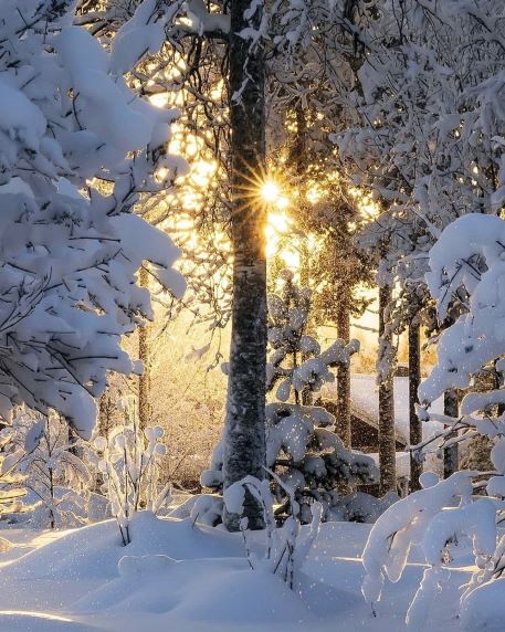 Зимнее утро!