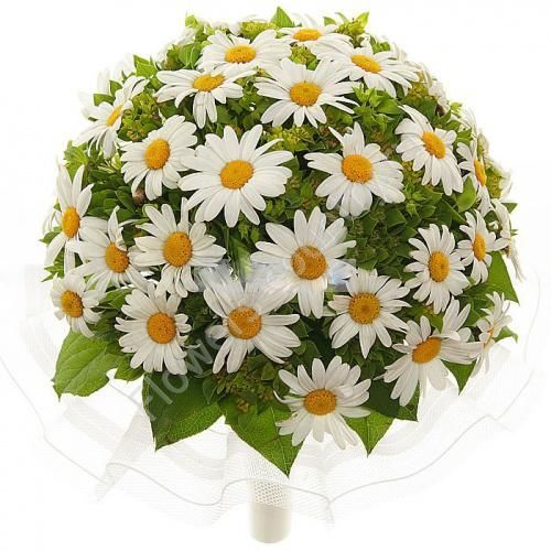 Лариса!!! С Днем Рожденья!!!