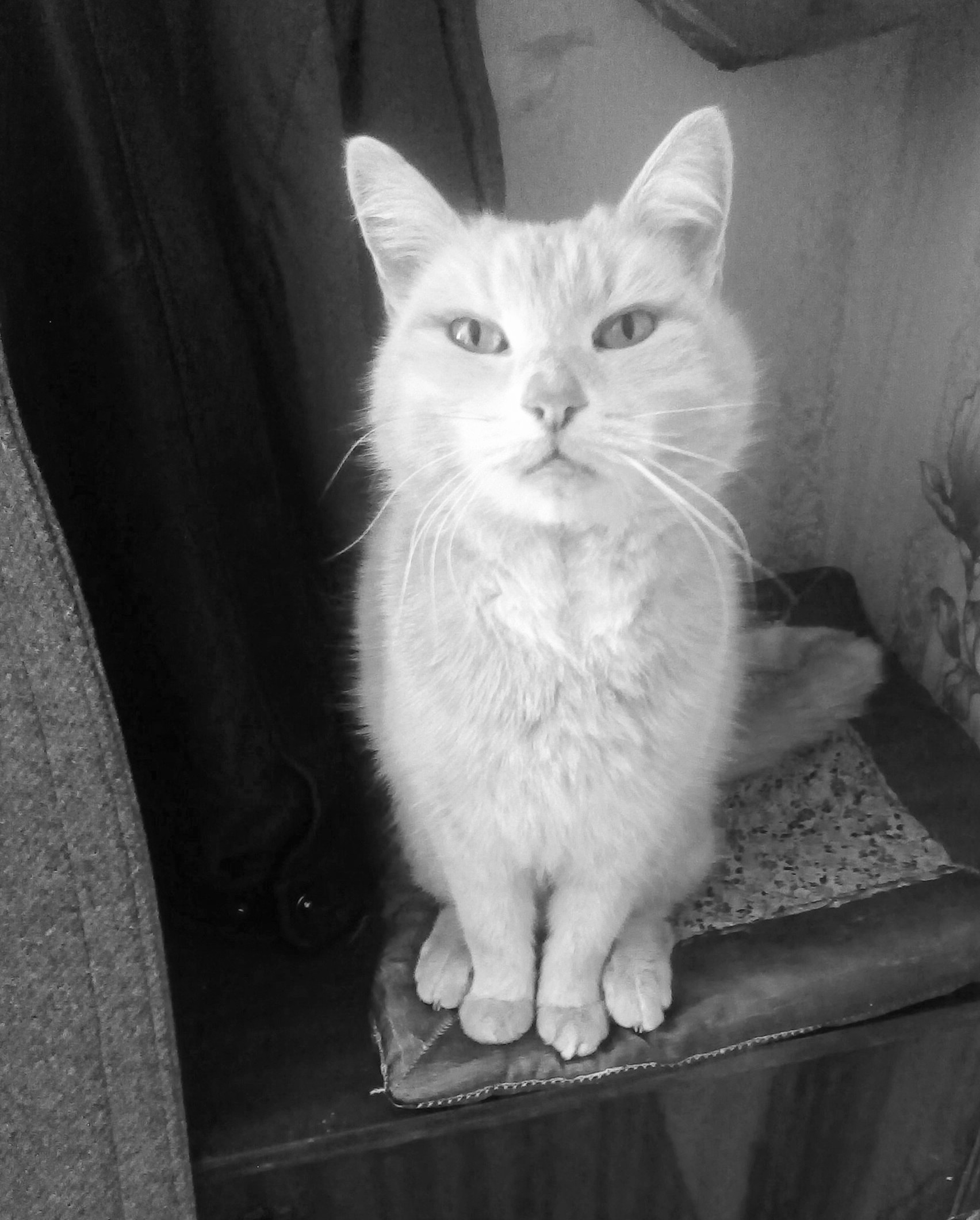 Рано утром я проснусь