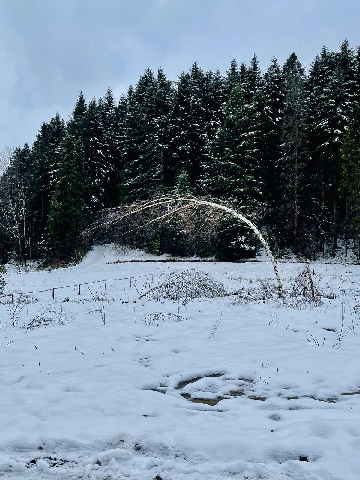 Жизнь -не сахар