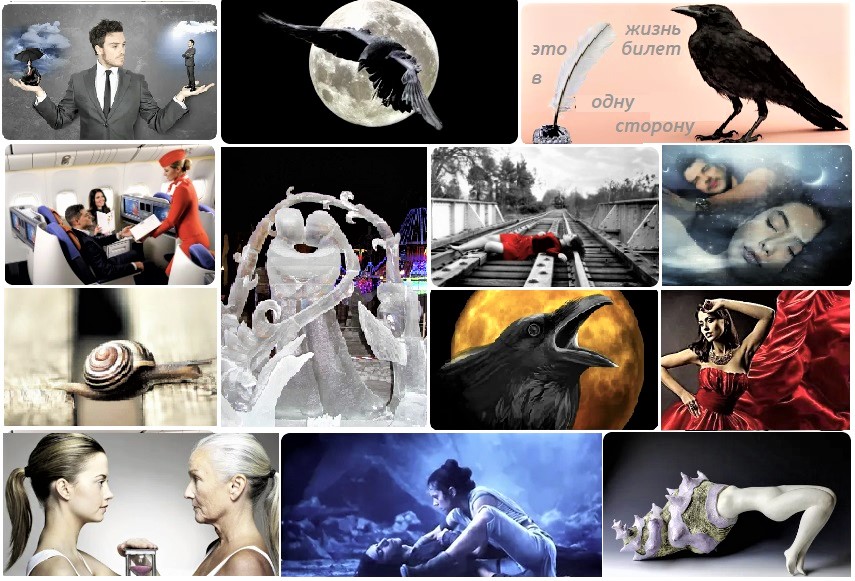 Первому встречному ворону