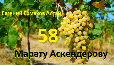 Хаямо-Ермаковщина - 91 Марату Аскендерову