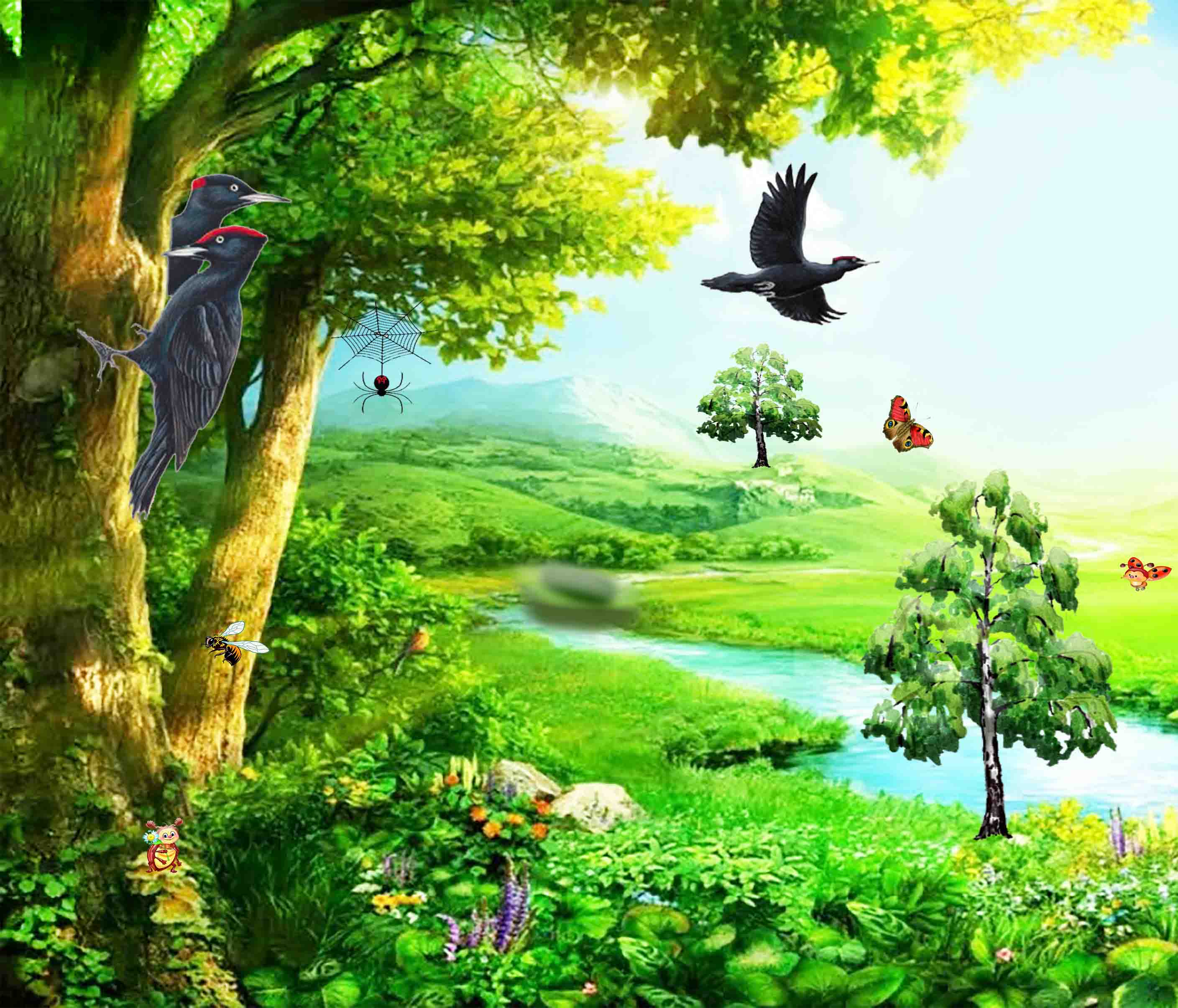 Дятел желна