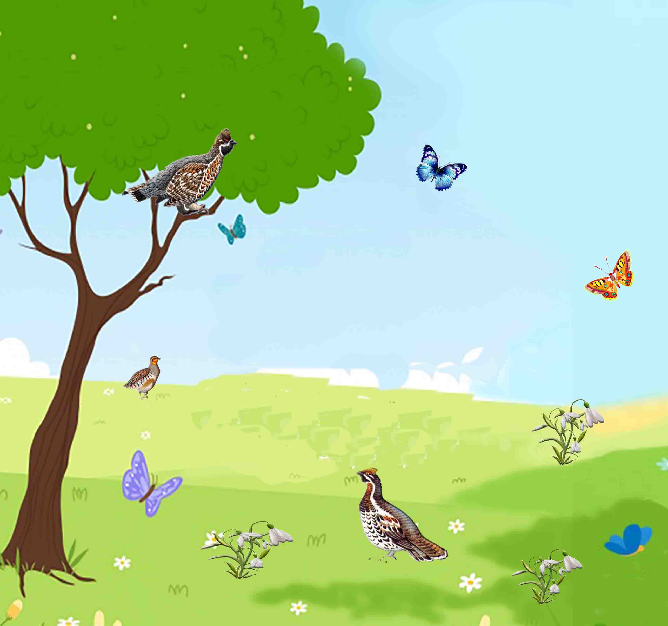 Все любят цветы