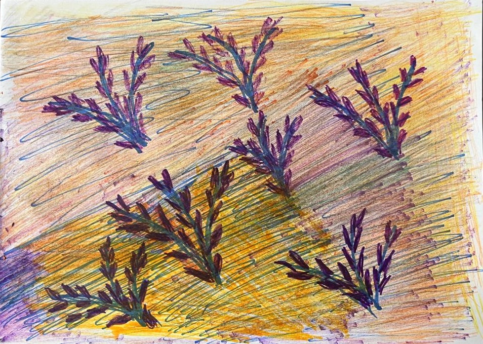 Во цвете красоты я вижу мир прекрасный. Газели