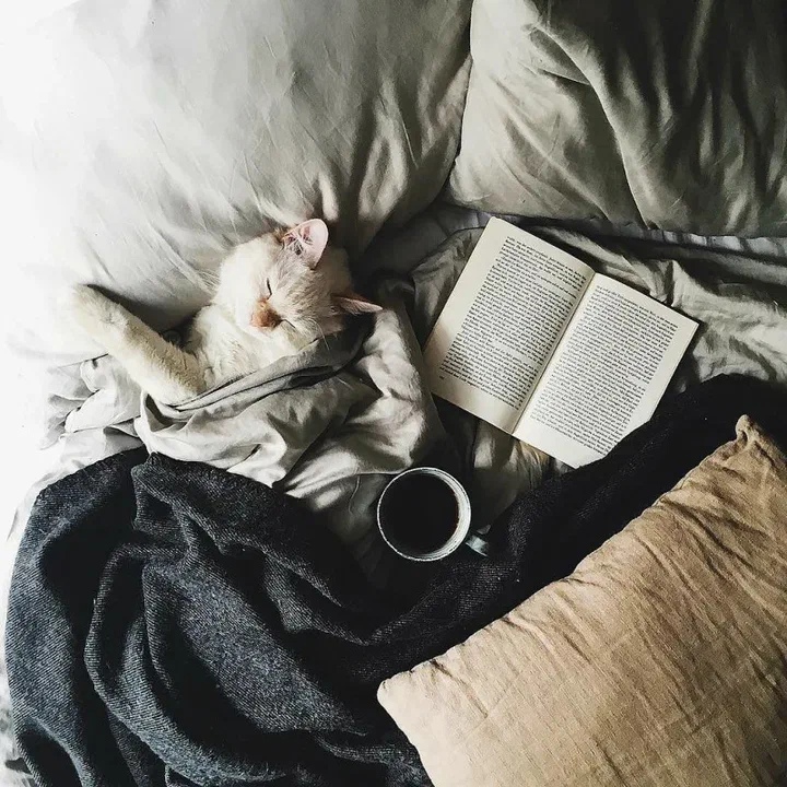 Не так уж плохо