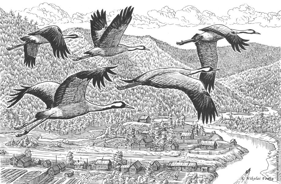 Монолог уехавшего