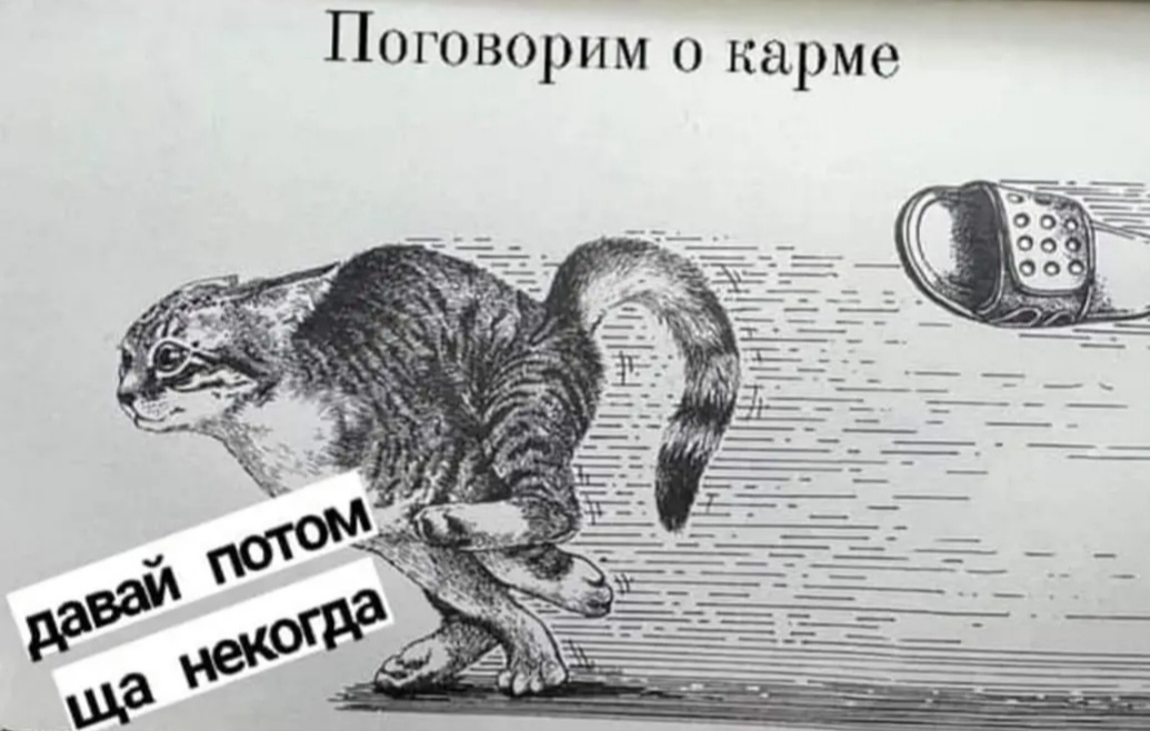 Кармическо-мурчальное
