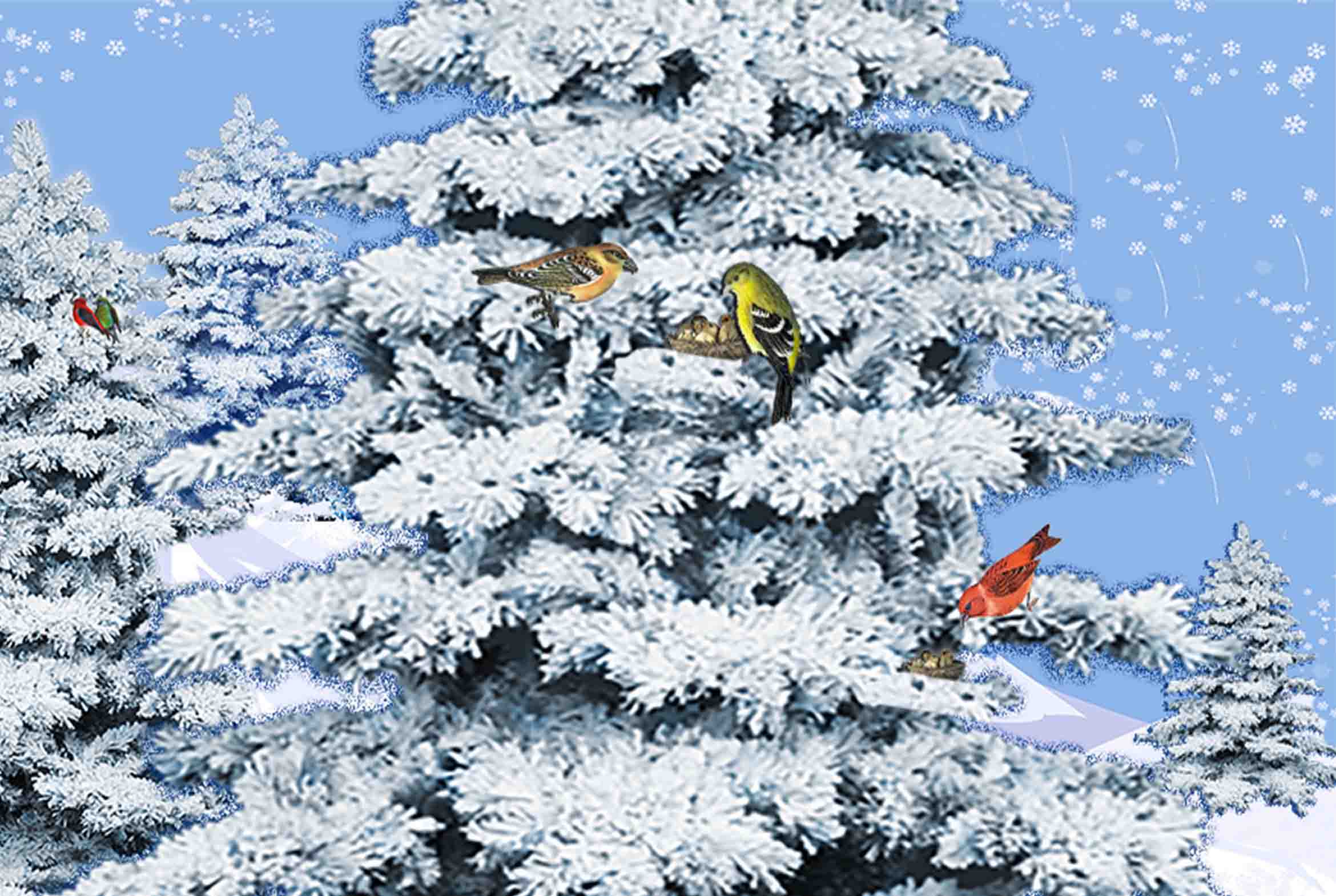 Когда высиживать птенцов?