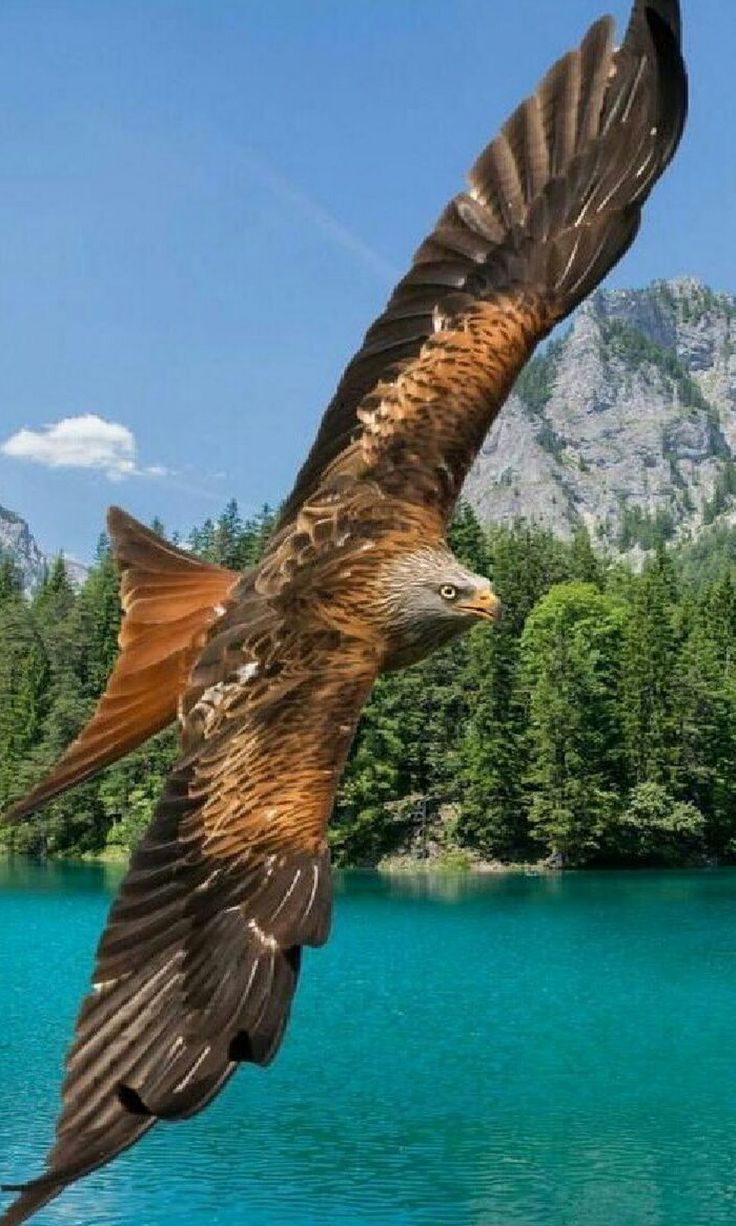 Поле битвы сердце человека