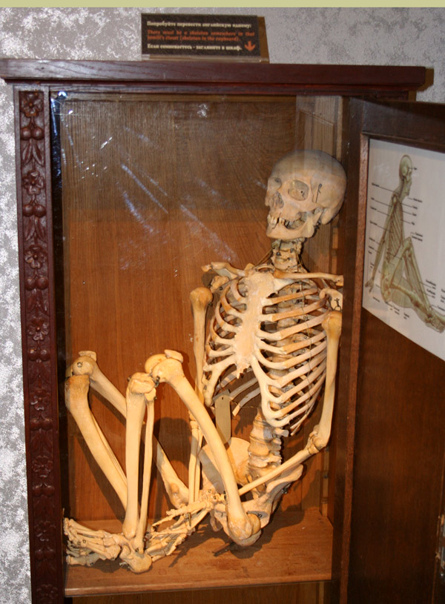 Скелет в шкафу фразеологизм. Скелеты в моем шкафу. Скелеты в шкафу истории. Скейт в шкафу. Скейт в шкафу.