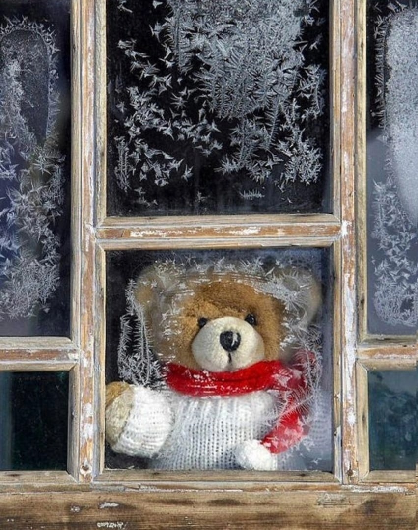 В ожидании новогоднего чуда. Зимнее окно. В ожидании зимы. Окна на новый год. Плюшевый мишка у окна.