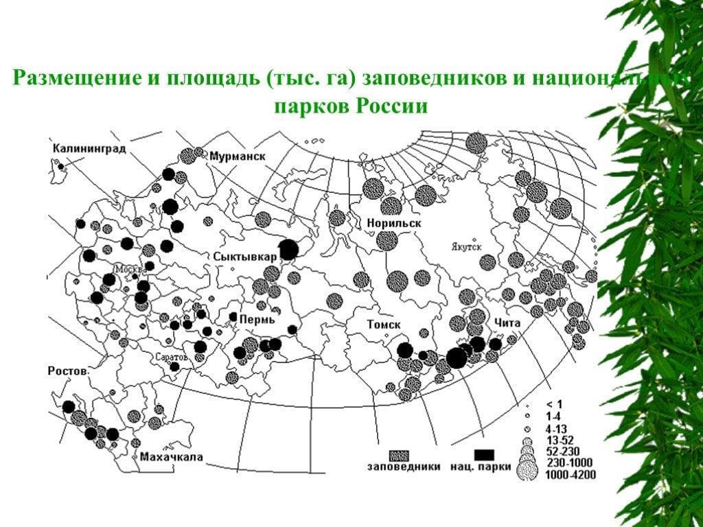Крупнейшие заповедники россии на карте