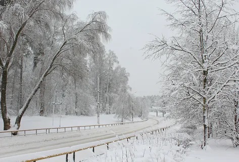 Февральский снег