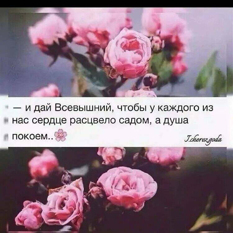 Планы всевышнего всегда лучше наших картинка