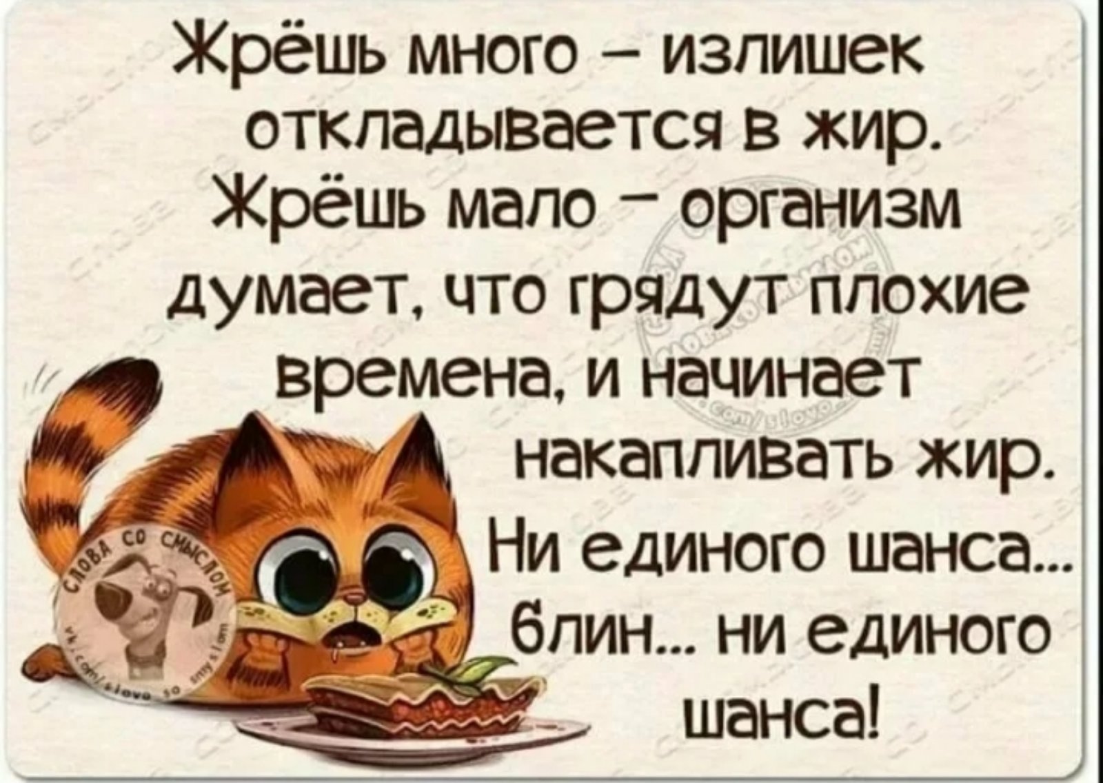 Картинки Умные Мысли О Жизни Смешные