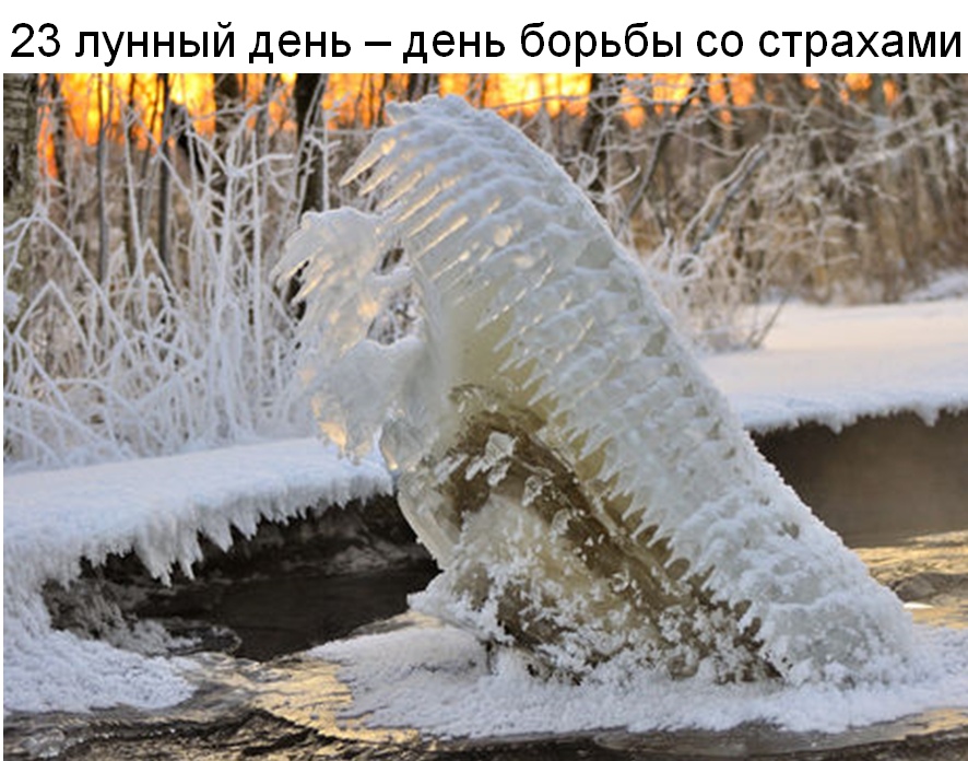 крокодил во льду