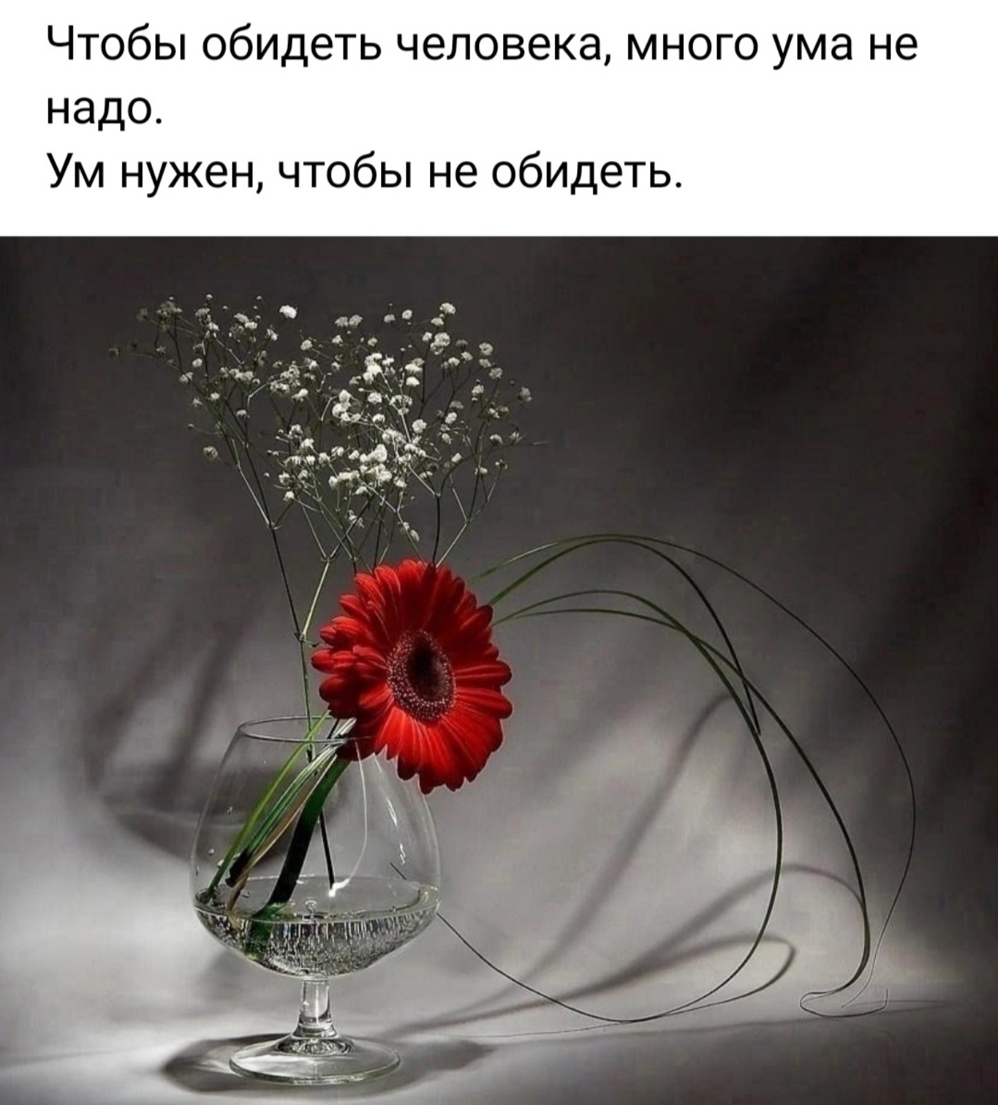 Чтоб обидеть - ума не надо (Оксана Романенко Лучик) / Стихи.ру