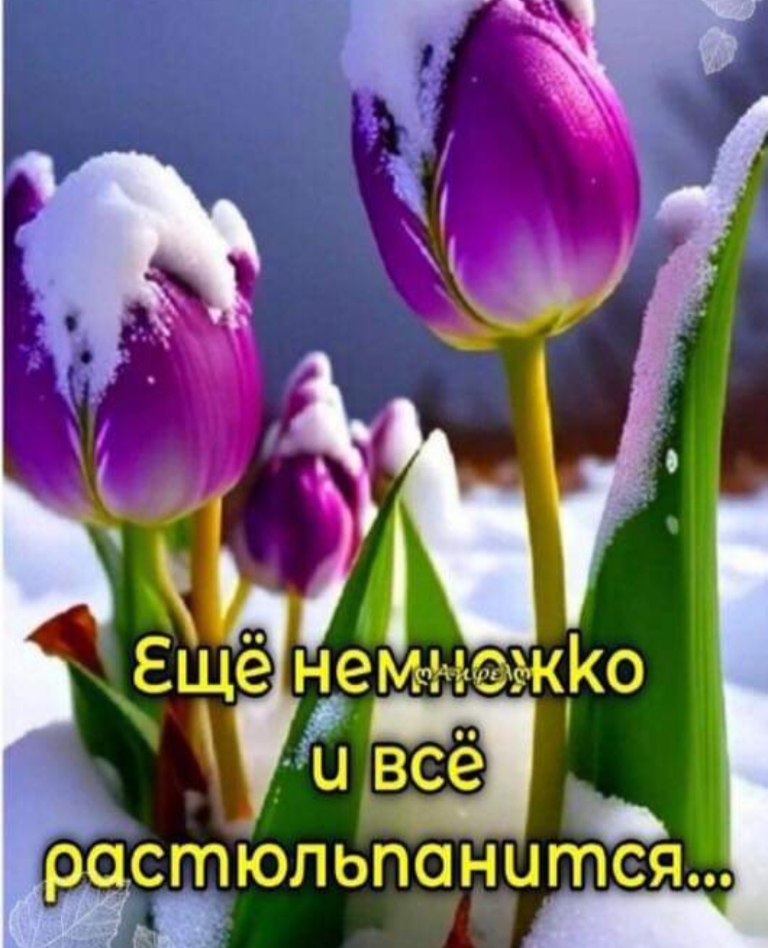 В сложной ситуации
