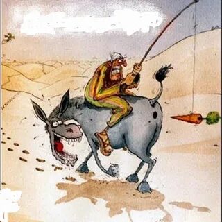 До и после