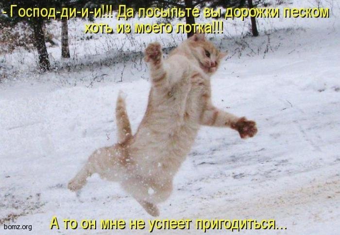 Проблемно-коммунальное