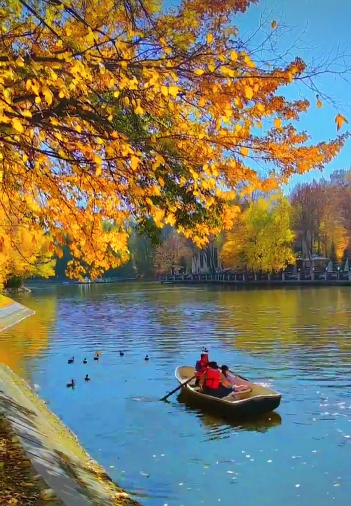 Возрождение любви